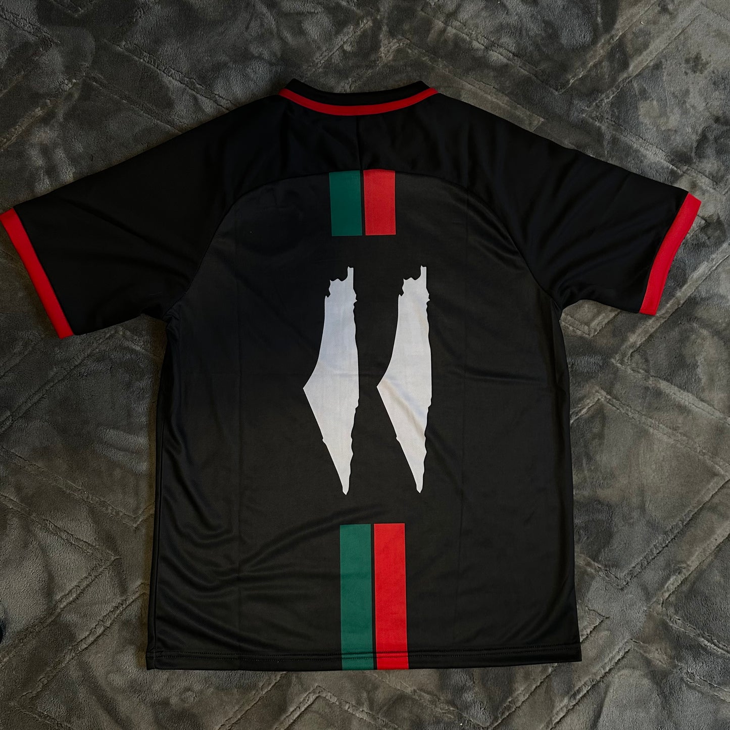 Palestine T-Shirt
